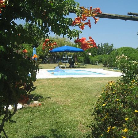 Casa Das Andorinhas Bed and Breakfast Palmela Exteriör bild