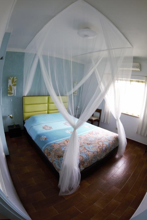 Casa Das Andorinhas Bed and Breakfast Palmela Exteriör bild